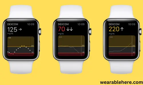 Apple watch data from dexcom app